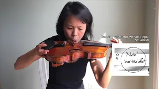 Wind Effect - Extended Techniques for Violin