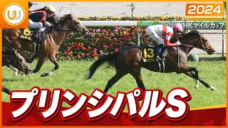 【レース映像】プリンシパルステークス（L）ダノンエアズロック｜ウイニング競馬 2024