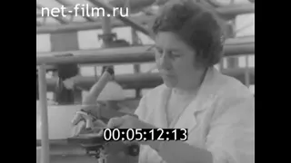 1975г. колхоз Красный Октябрь Камышинский район Волгоградская обл