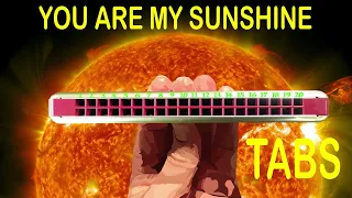How to Play You Are My Sunshine on a Tremolo Harmonica with 20 Holes