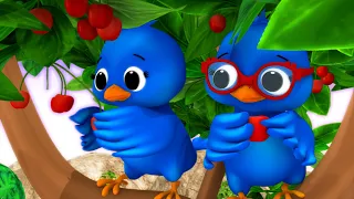 2 Little Dicky Birds |  Nursery Rhymes | ABCs and 123s Learning with Little Baby Bum