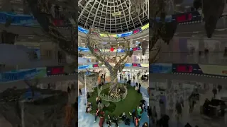 📍А ты уже видел новую фотозону в Dana Mall?