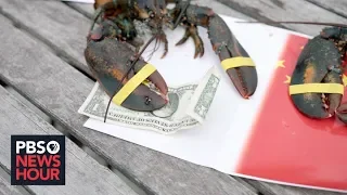 How U.S.-China trade war is pinching profits for Maine's lobster industry