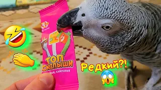 ТОП🔥СКРЕПЫШИ 5!🤑 ДЖОКЕР попугай ИЩЕТ САМЫЙ РЕДКИЙ...