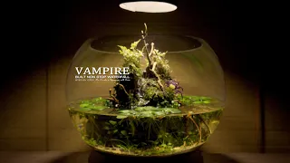 How To Do No Wire Pump Powered Waterfall Vampire Crab Paludarium Ecosystem