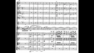 Saint Saens Cello Concerto no. 1 - with Score (Shapira)