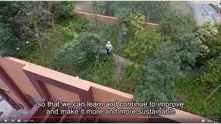 Green Roofs Create Oases in the City