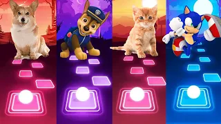 Dog vs Paw Patrol vs Cat vs Sonic || Tiles Hop EDM Rush