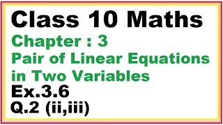 Ex.3.6 (Q.2) {ii,iii} Chapter:3 Pair of Linear Equations in Two Variables | Ncert Maths Class 10 |