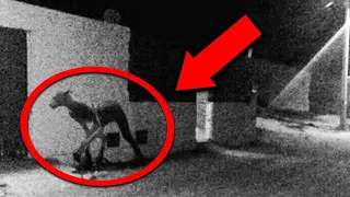 10 Creepy Cryptids