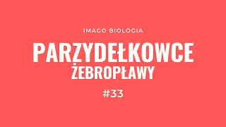 Parzydełkowce i żebropławy