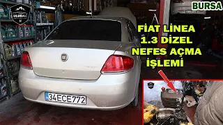 ARABADAN KÖTÜ KOKU GELİYOR! (2013 FİAT LİNEA 1.3 MOTOR EGR | MANİFOLD KURUM TEMİZLİĞİ)