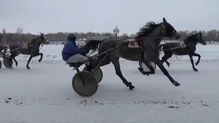 13. 02. 2021 Заезд №1 (12). Приз "Мемориал В. И. Шишкина"