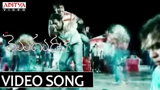 Bachelor Boys Song - Mogudu Video Songs - Gopichand, Taapsee