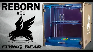 REBORN: FLYING BEAR - Обзор - Разбираем комплектацию и смотрим устройство узлов
