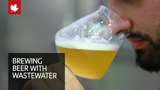 This beer is made from sewage water