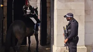 SOMETHING WRONG! POLICE OFFICER RUSHED TO CHECK THE HORSE GUARD IMMEDIATELY!