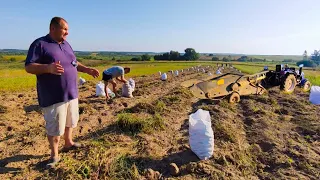 Викопали Картоплю за пів дня сім'єю без сусідів 🥔Херсонці на Львівщині🇺🇦