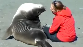 50 Symphonies of Love: When Animals Show Affection to Humans