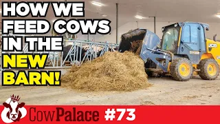 How we feed cows in the new barn | Cow Palace - Ep73