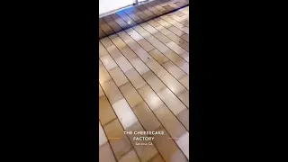 Witness video of San Jose mall shooting