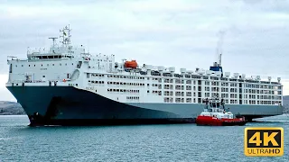 Life On World's Largest Livestock Carrier