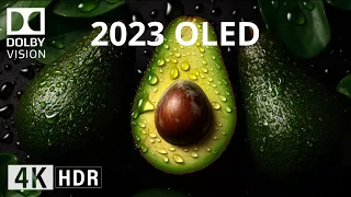 2023 OLED Demo l 4K HDR 60FPS Dolby Vision, BLACK BEAUTY.