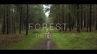 The Forest | Cinematic short film | Nature B-Roll | England