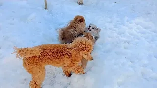 Доброго утра, тёплого солнышка и отличного настроения!