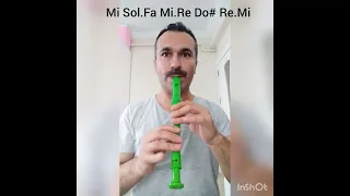 Türkiyemin dört yanında/6.sınıf müzik blok flüt çalınışı