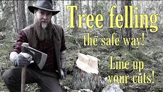 TREE FELLING the SAFE WAY! Line up your face- and backcut! The right way to fell trees with an axe!