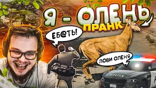 УГАР ДО СЛЁЗ! Я - ОЛЕНЬ! ПРАНК НАД ИГРОКАМИ! (GTA 5 RP)