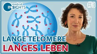 Lange Telomere = Langes Leben | #3 Projekt Jungbrunnen