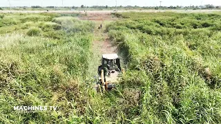 Excellent Technique Skills Operator Bulldozer Land Clearing Brush Strong Power Pushing Moving