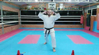 38 LIVE | Karate em Casa | Fortalecimento das posturas de base SHOTOKAN