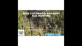 2023 Public Land Colorado Archery Elk Hunting