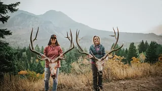 2020 Utah Limited Entry Bull Elk Hunt