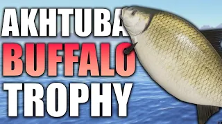 Russian Fishing 4 - BUFFALO TROPHY - Akhtuba River