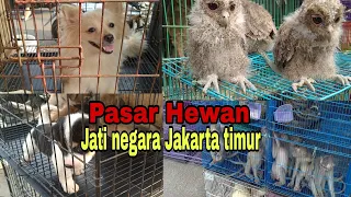 Pasar Hewan Jati negara jak-tim