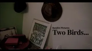 Two Birds - A short Film by Bandini Pictures Nottingham