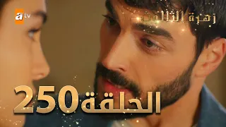 مسلسل زهرة الثالوث - الحلقة 250 | مدبلج | الموسم الثاني