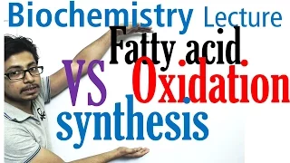 Difference between fatty acid synthesis and degradation