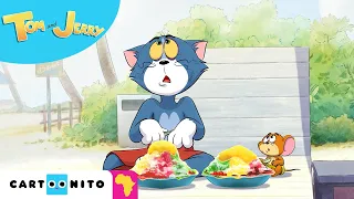 Icy Delight Paradise | Tom & Jerry #NEW Cartoon | Cartoonito Africa