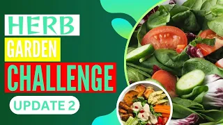 HERB GARDEN CHALLENGE | (HERBS) FOR | #planterhgc2024