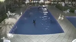 Vídeo mostra criança quase se afogando em piscina de condomínio