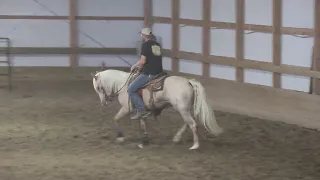 Quick With Da Ladies - 2022 AQHA Cow Horse Gelding - Dry Work