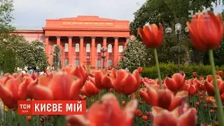 Напередодні Дня Києва ТСН підібрала десятку нетипових фактів про столицю