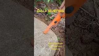 Treasure and gold hunting using metal detector #gold #metaldetecting #treasure #shorts