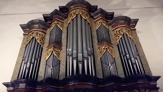 lobe den Herren den mächtigen König der ehren. Orgel St. Nikolai Kirche