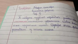 Проверяю тетради по русскому языку 3 класс